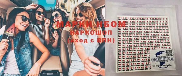 гидропоника Бородино