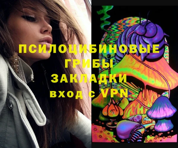 гидропоника Бородино