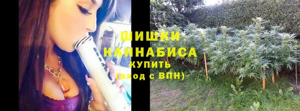гидропоника Бородино