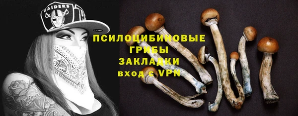 прущий лед Бронницы